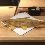 銀座天ぷらよしたけ - 