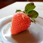 資生堂パーラー - 