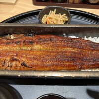 うなぎ四代目菊川 ヒルトンプラザウエスト大阪店 - 