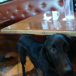 カフェ・ミケランジェロ - 2009/12