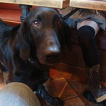 カフェ・ミケランジェロ - 2009/12 