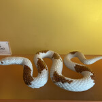 スリーシクスティ - 