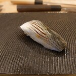 289015451 - 熊本産のコハダ