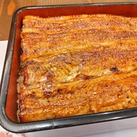 入谷鬼子母神門前のだや - ブランドうなぎの食べ比べ。上段2列が共水うなぎ、下段2列が和匠うなぎ。脂身のある和匠うなぎの方が、やや光沢があります。