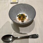 289025085 - 貝とナマコ