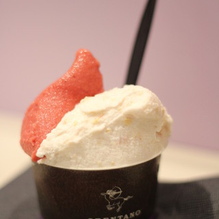 ORENTANO IL GELATO_0