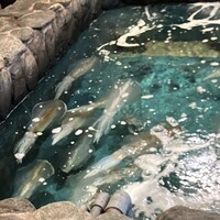 河太郎 中洲本店 - 