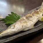 旬魚菜 しら川 - 