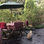 ドリプレ・ローズガーデン　カフェ - 