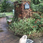 ドリプレ・ローズガーデン　カフェ - 