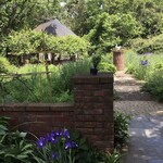 ドリプレ・ローズガーデン　カフェ - 