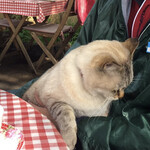 ドリプレ・ローズガーデン　カフェ - 