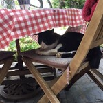 ドリプレ・ローズガーデン　カフェ - 