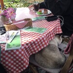 ドリプレ・ローズガーデン　カフェ - 