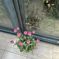 八王子うかい亭 - 