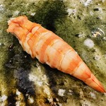 鮨桂太 - 車海老