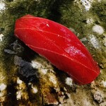 鮨桂太 - 赤身（漬け）