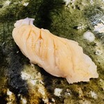 鮨桂太 - ミル貝