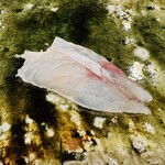 鮨桂太 - ほうぼう