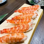 ほぼ玉宮 スシノキモチ - 