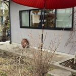 鎌倉 北じま - これから色々な木々が春を迎えます♪