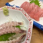 シャコ、マグロ