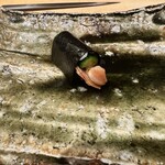 箱崎町すみと - 