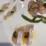 ボガマリ・クチーナ・マリナーラ - 