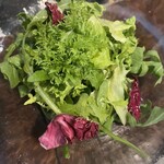 ボガマリ・クチーナ・マリナーラ - 