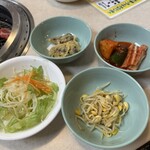 美っちゃんチロリン村 - 