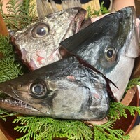 魚めし 竹亭 - 