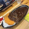 欧風ライスカレーKen's - 牛とろ肉入りカレーのさくさくカツトッピングご飯普通盛りです。