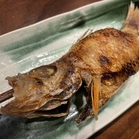 のどぐろの中俣 新橋 - 