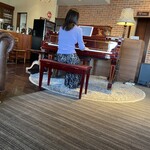 アンジュ - ピアノの演奏 （2025年3月8日撮影）か