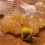 道人 - ⑦伊勢海老(兵庫県淡路島産)
      プリプリで旨みと甘みが凄い、驚いたのは香り
      伊勢海老は劣化が特に早く臭みを出さない事が優先されますが、道人さんでは仄かに香りもあり、超絶な仕込みの技を感じます