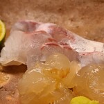 道人 - ⑥真鯛(兵庫県明石産)
      春は産卵期で浅瀬にのっこむ真鯛が沢山獲れるのですが、卵に栄養を取られ状態は良くない
      1千匹に1匹位の比率で特別個体がいます
      そういう個体で手当てが良く旨みが極上 