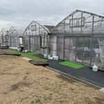 ストロベリーファーム ふじもと - 