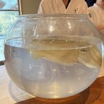 日本料理 別府 廣門 - 