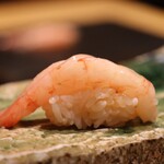 鮨処 一石三鳥 -  ［握り］甘海老昆布締め