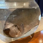 日本料理 別府 廣門 - 