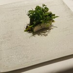 カンテサンス - 