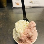 Curry Spice Gelateria KALPASI - ジェラート2種