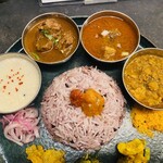 Curry Spice Gelateria KALPASI - 左からイストゥ・ビターチキン・ポークペッパーマサラ・チキンキーマ