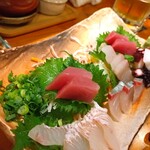 肴の店 枝むら - 