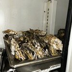 海鮮バイキング＆浜焼きBBQ 玉手箱 - 