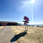 漁港食堂 だいぼ - 