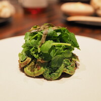 Florilege - こごみ