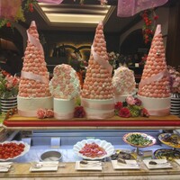 スプレンディード - 