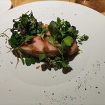 マンサルヴァ - 