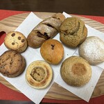 天然こうぼぱん とことこ - いろんな型の新人生達の様子( ・∇・)